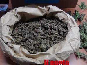 marijuana-cc-cisterna-di-latina-06