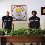 marijuana-supino-carabinieri