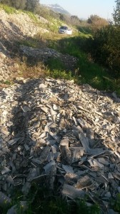 1470213_10202851334354263_238463319_n