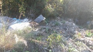 1470413_10202851304153508_1504656836_n