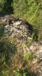 1474449_10202851298393364_892270797_n