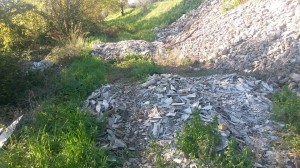 1505544_10202851307673596_898222803_n