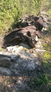 1525075_10202851296193309_1370461304_n