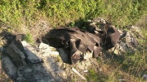 1526900_10202851284793024_2135096132_n