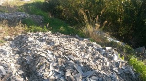 1526977_10202851305193534_752082037_n