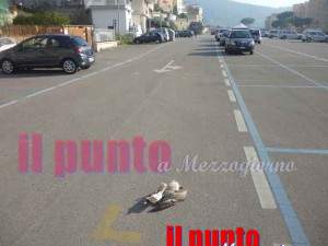 gabbiano morto in piazza a Gaeta
