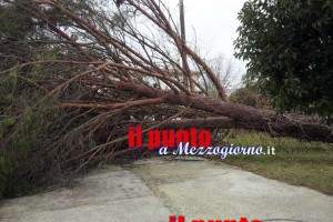 vento-forte-cassinate-02