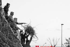 igni materiam praebeo (2)