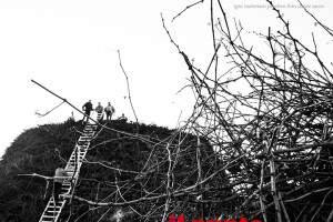 igni materiam praebeo (3)