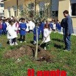ulivo scuola Caira