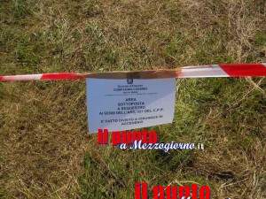 balle di fino nocione