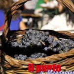 festa del vino mignano