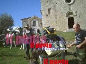 My beautiful picture