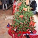 l'albero della riflessione