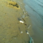 spiaggia sporca Gaeta