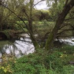 SICUREZZA SUL RAPIDO