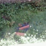 atti vandalici sughereto1