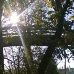 villa-comunale-lavori