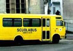 Assunto dal comune come autista di scuolabus, per 5 anni guida senza patente