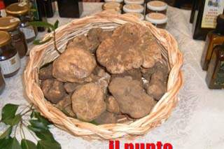 L’evasione del tartufo a Sora, fatture false per 66 milioni di euro