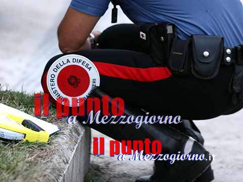 Garage lager scoperto dai carabinieri, salvati quattro cani e due gatti Garage lager scoperto dai carabinieri, salvati quattro cani e due gatti