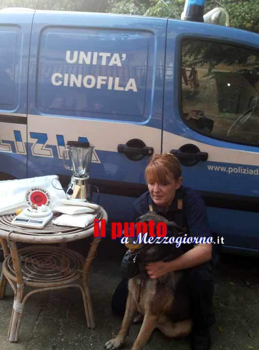 Controlli antidroga a Cassino, cane poliziotto “annusa” consumatore di hashish