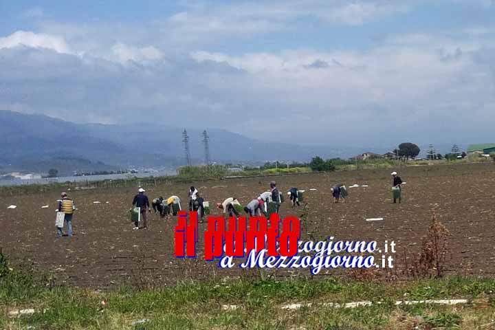 Indagini su bracciante pestato a Terracina, fermati padre e figlio sfruttatori