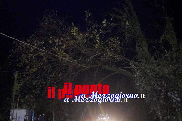Maltempo, alberi divelti e blackout in piÃ¹ zone del frusinate