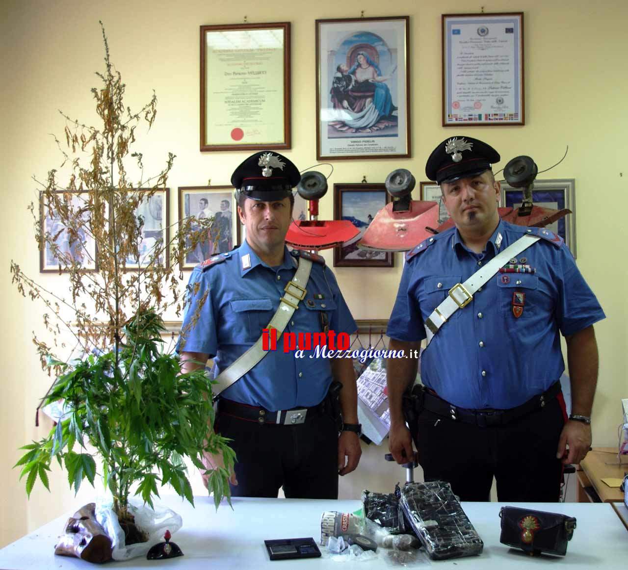 Trovato con 4 piante di marijuana e decespugliatori rubati, 35enne arrestato a Pontecorvo