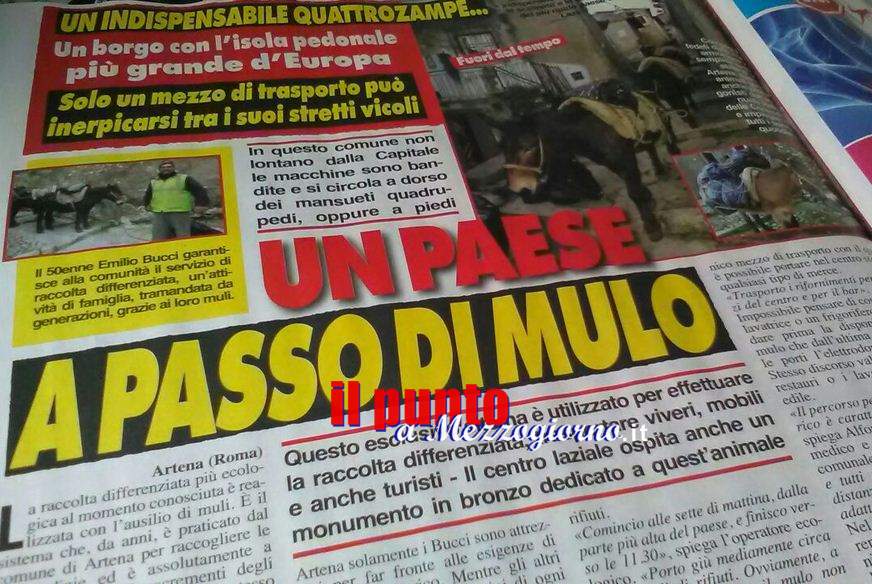 I muli e l’originale raccolta differenziata di Artena, sulle pagine di Cronaca Vera