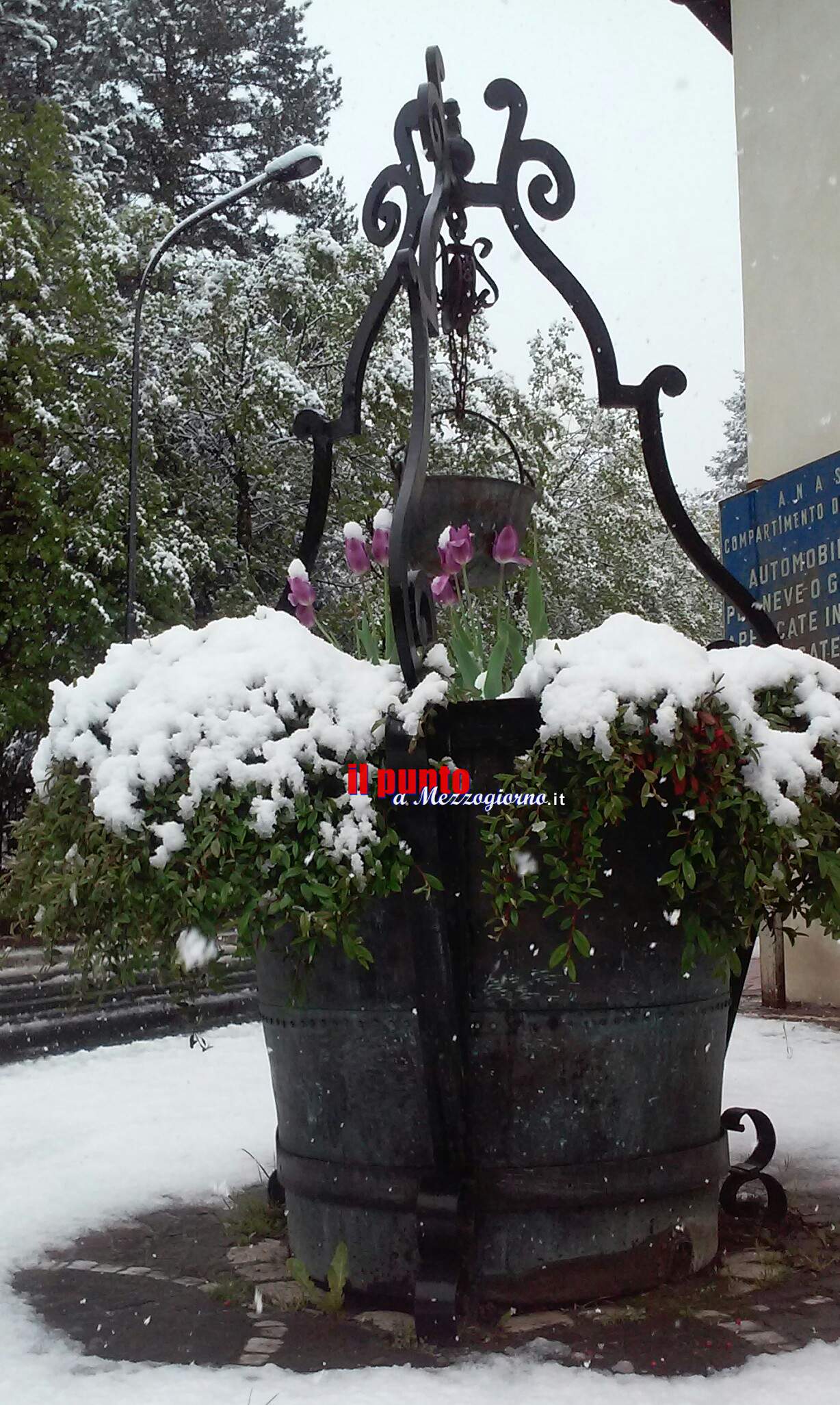 La sorpresa del 25 aprile. La sorpresa del 25 aprile.