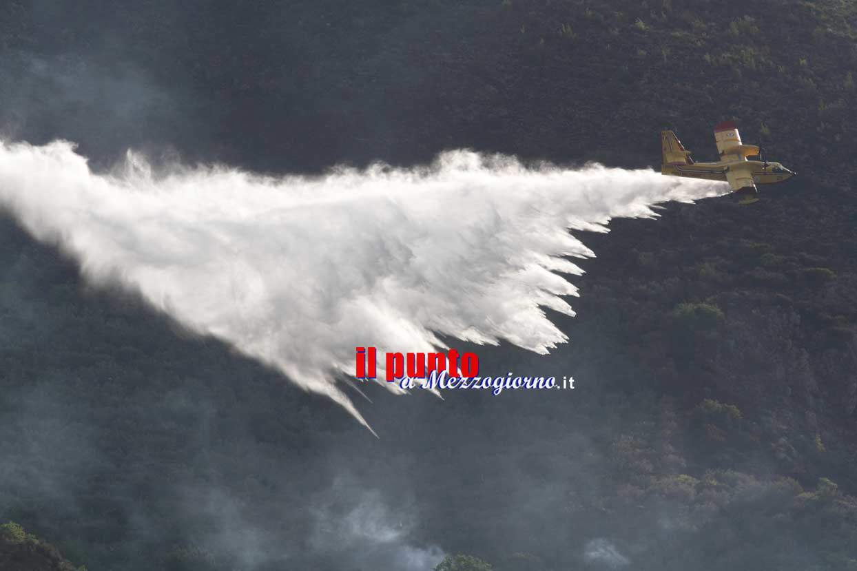 Notte di fuoco su monte Sambucaro, l’incendio ha minacciato case e distrutto uliveti – FOTO E VIDEO