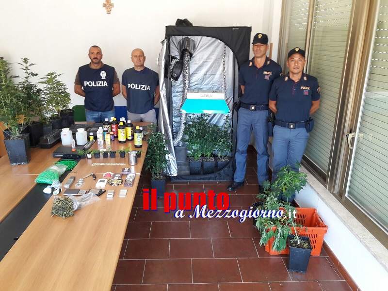 Coltivava in casa 26 piante di marijuana, 30enne arrestato dalla Polizia