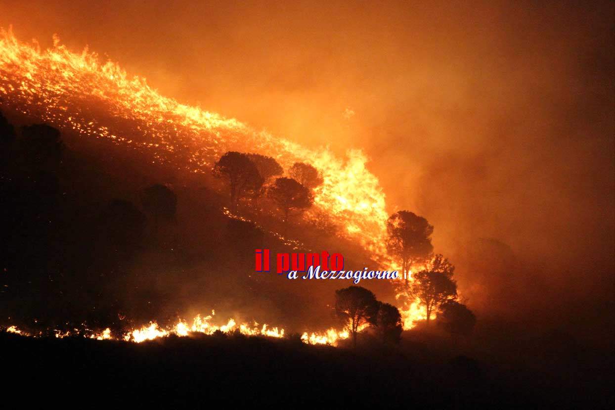 Incendi boschivi nel Cassinate, brucia la montagna a Porchio e a Mignano Montelungo – FOTO E VIDEO