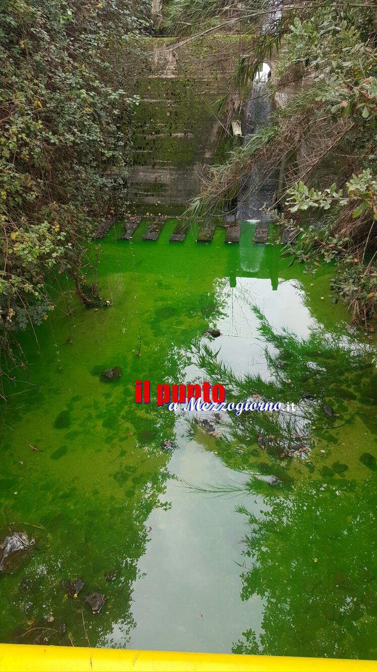 Acqua verde al “vascone” di Piumarola, residenti preoccupati
