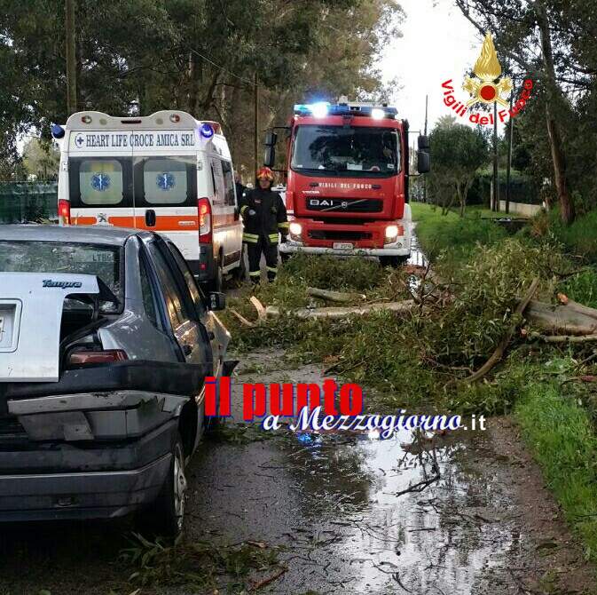 Danni da vento,  albero su auto a Terracina e cornicioni pericolanti ad Aprilia