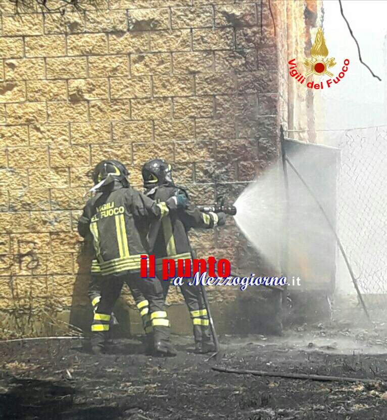 Incendio di sterpaglie minaccia scuola elementare a Cisterna