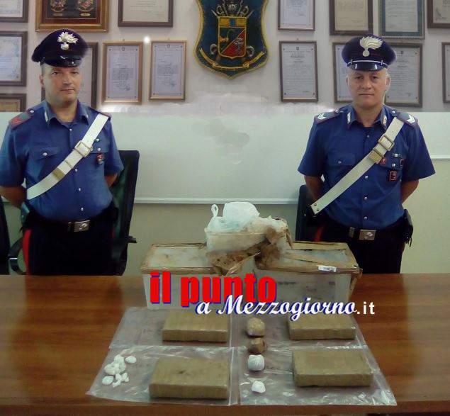 Un bosco “stupefacente” ad Alatri, carabinieri trovano seppelliti 4,5 chili di cocaina
