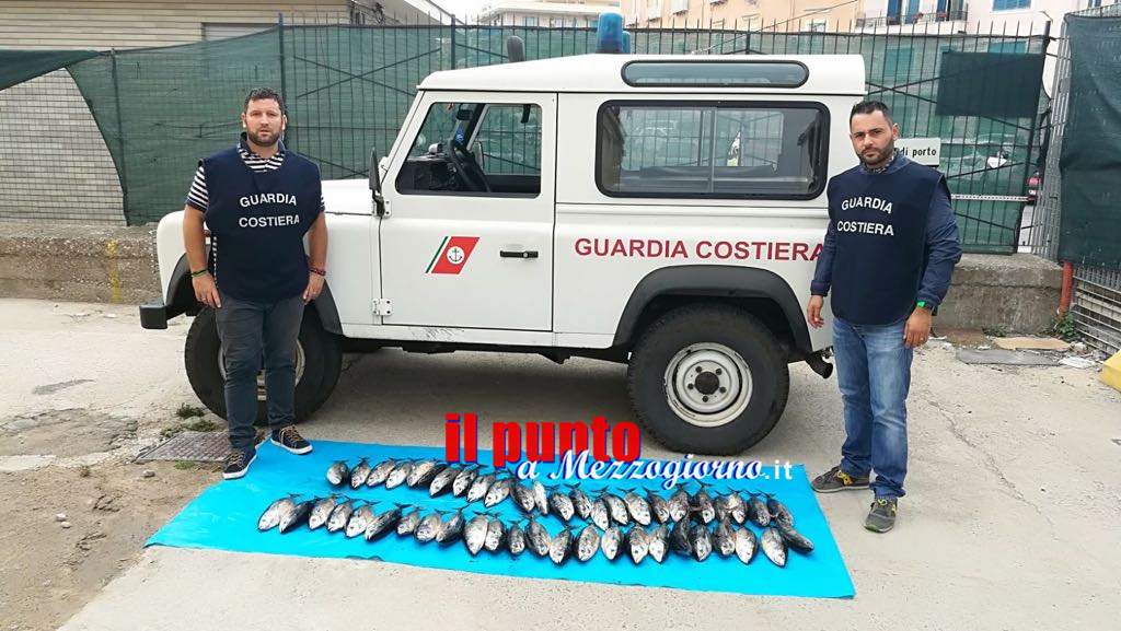 Pesca illegale al tonno rosso, maxi multe a pescatori di Gaeta