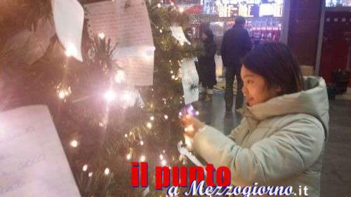 L’albero di Natale che raccoglie i desideri e intrattiene i viaggiatori