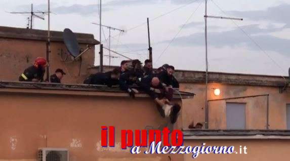 VIDEO – Preso per i piedi mentre cade dal terrazzo di un palazzo