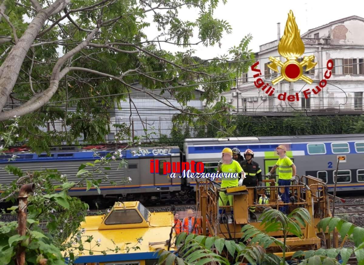 Cade albero sulla rete elettrica della linea ferroviaria tra Ostiense e Tuscolana