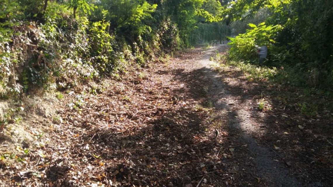 Via Muraglie a Sant’Apollinare, la strada di Kesserling tra incuria e abbandono