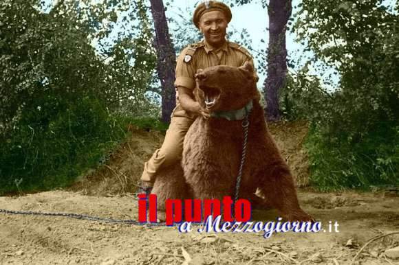 Il monumento all’Orso Wojtek presto sarà realtà, avviata una sottoscrizione per raccogliere fondi