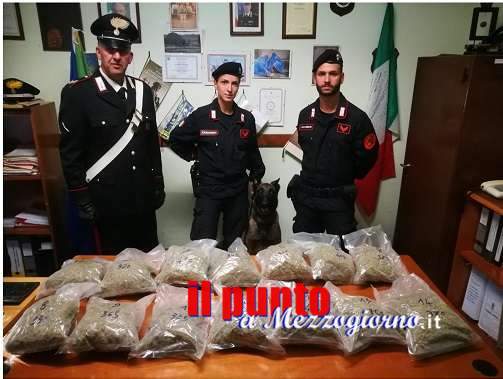 Pusher 31enne con 5,3 kg di marijuana arrestato dai carabinieri per detenzione e spaccio