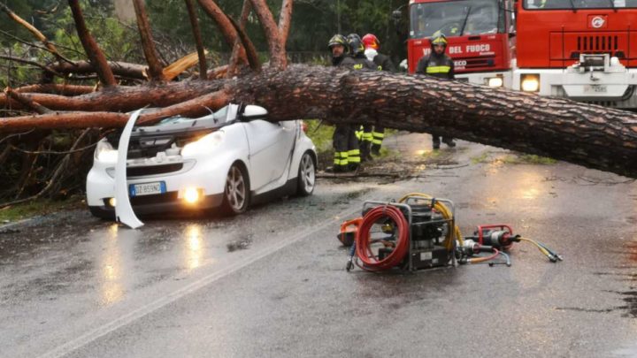 Cade un albero sulla Casilina a Castrocielo, morte due persone di Arce