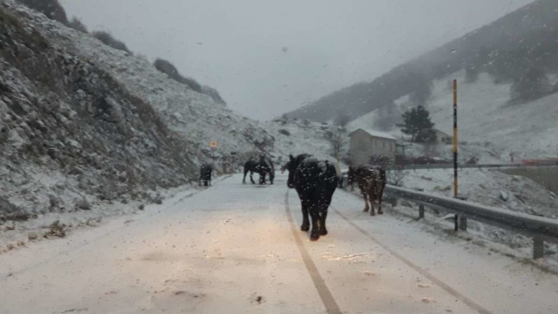 Neve in Ciociaria, mezzi spazzaneve e spargisale sulle strade di montagna – Foto e Video