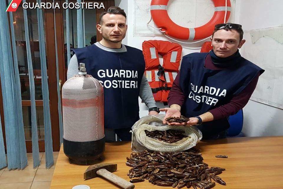 Razzia di datteri di mare, denunciato a Minturno 46enne che ne aveva raccolti 20 chili