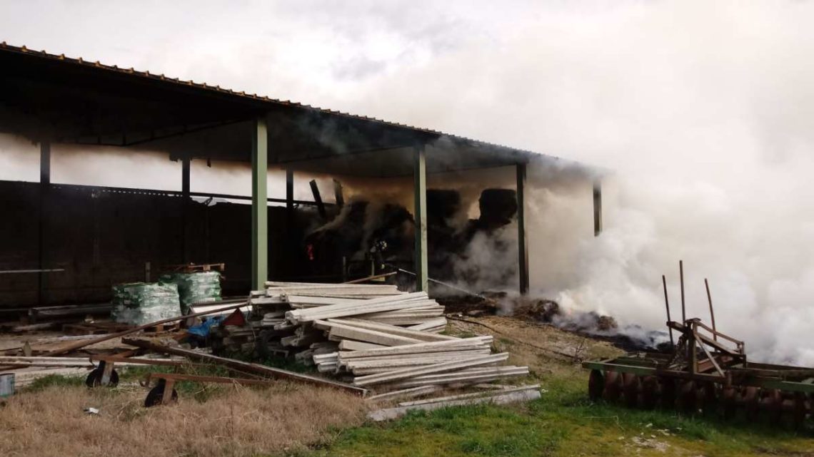 Ferentino, un incendio distrugge oltre quaranta balle di fieno in un’azienda agricola