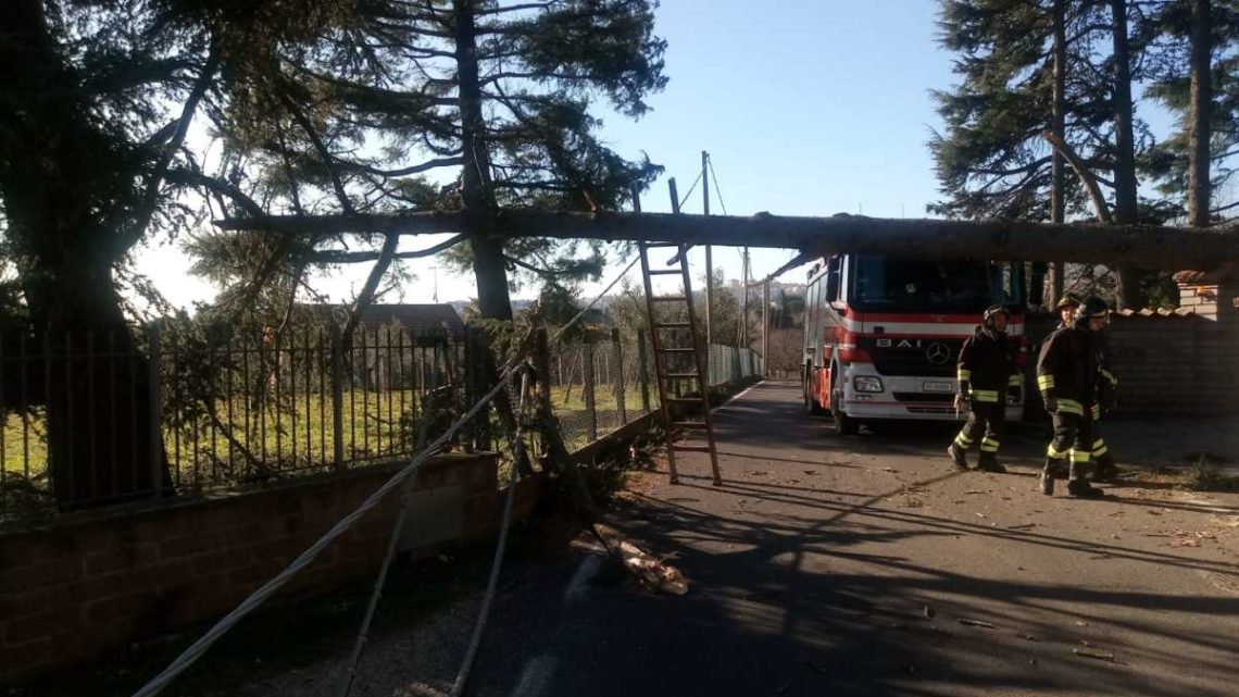 Maltempo a Velletri, alberi caduti causano black out